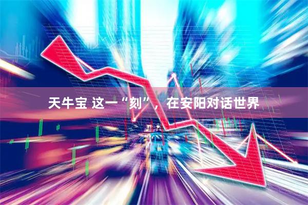 天牛宝 这一“刻”，在安阳对话世界