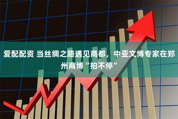 爱配配资 当丝绸之路遇见商都，中亚文博专家在郑州商博“拍不停”