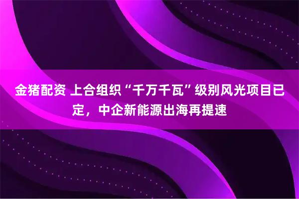 金猪配资 上合组织“千万千瓦”级别风光项目已定，中企新能源出海再提速