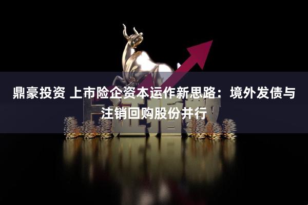 鼎豪投资 上市险企资本运作新思路：境外发债与注销回购股份并行