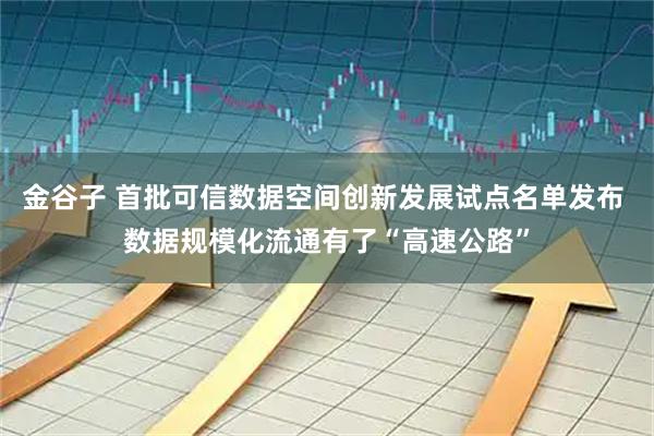 金谷子 首批可信数据空间创新发展试点名单发布 数据规模化流通有了“高速公路”