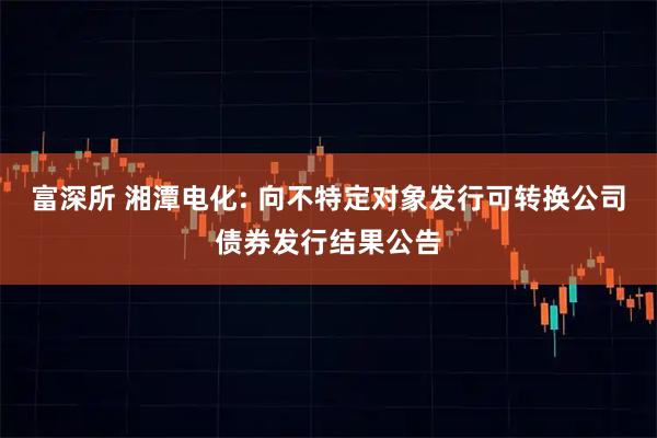富深所 湘潭电化: 向不特定对象发行可转换公司债券发行结果公告