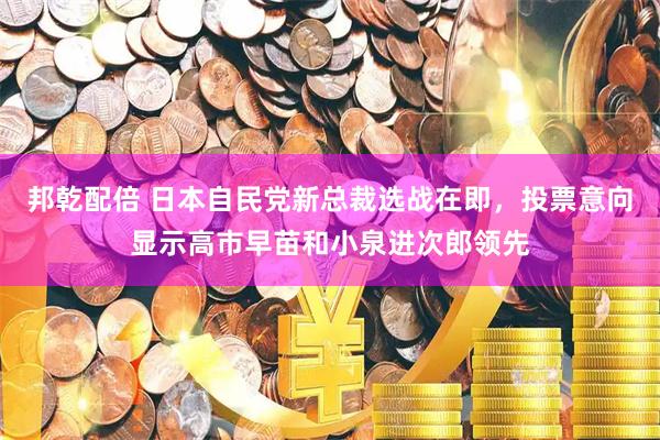 邦乾配倍 日本自民党新总裁选战在即，投票意向显示高市早苗和小泉进次郎领先